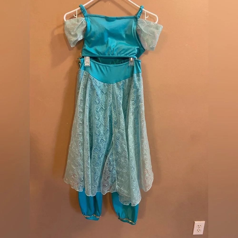 Disney Parks Princess Jasmine Costume size Large 10/12